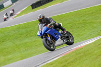cadwell-no-limits-trackday;cadwell-park;cadwell-park-photographs;cadwell-trackday-photographs;enduro-digital-images;event-digital-images;eventdigitalimages;no-limits-trackdays;peter-wileman-photography;racing-digital-images;trackday-digital-images;trackday-photos